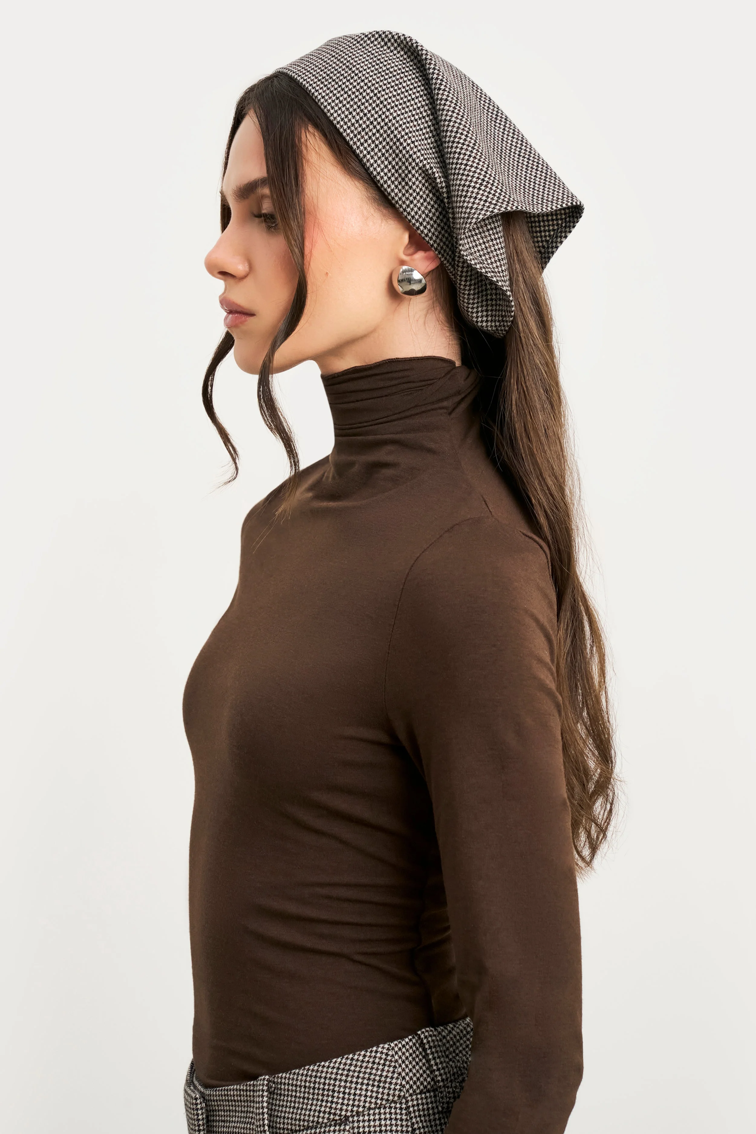 Semi Sheer High Neck Longsleeve Top - Carob - Image 5